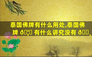 泰国佛牌有什么用处,泰国佛牌 🦁 有什么讲究没有 🌸